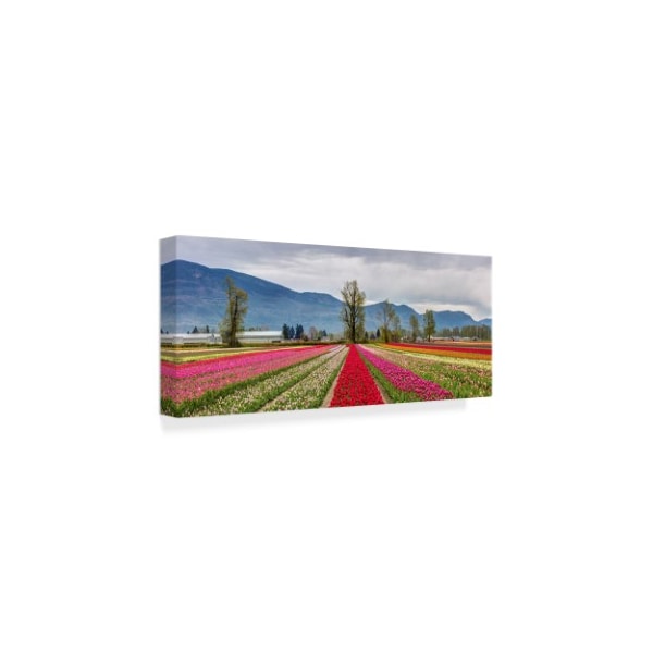 Pierre Leclerc 'Tulip Landscape' Canvas Art,14x32